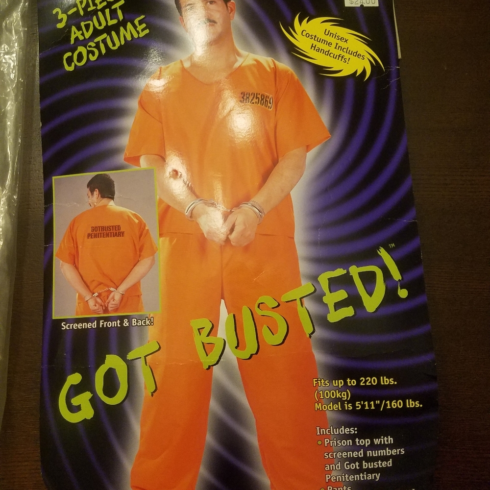 Mens jailbird costume